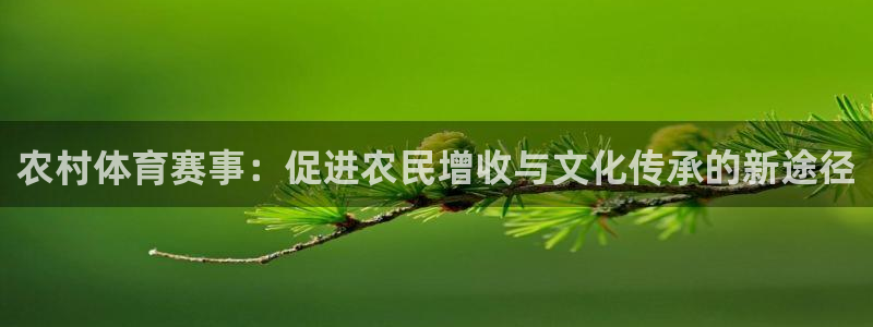 悟空体育：农村体育赛事：促进农民增收与文化传承的新途径
