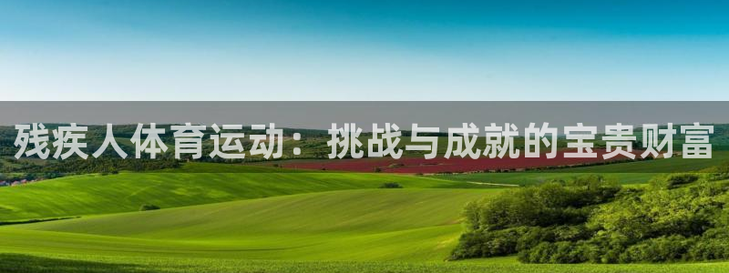 悟空体育莆田鞋怎么样：残疾人体育运动：挑战与成就的宝贵财富