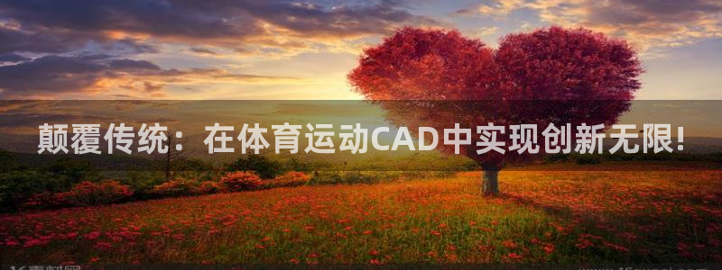 悟空体育入口：颠覆传统：在体育运动CAD中实现创新无限!