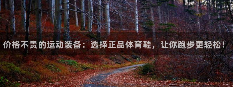 悟空体育是正品吗：价格不贵的运动装备：选择正品体育鞋，让你跑步更轻松！