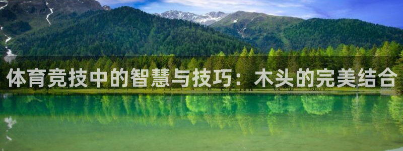 悟空体育官网快速入口：体育竞技中的智慧与技巧：木头的完美结合