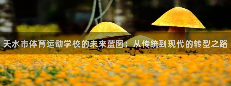 悟空体育app：天水市体育运动学校的未来蓝图：从传统到现代的转型之路